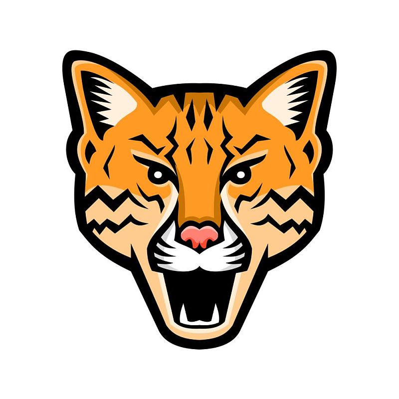 云开全站体育app登录下载